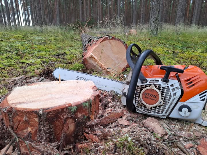 Dodatkowe szkolenie DRWAL/PILARZ – październik 2025